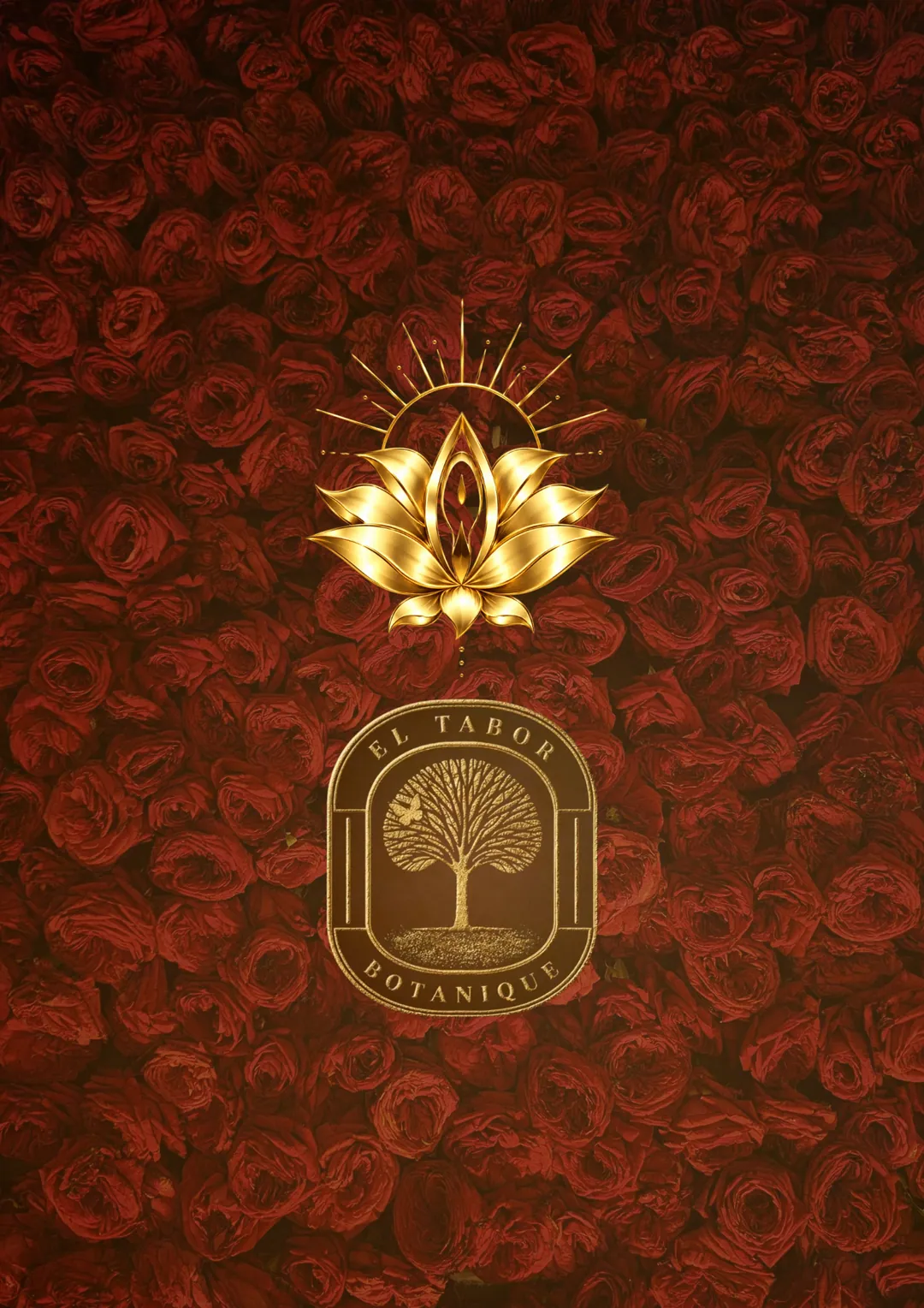 Flor de loto dorada y sello de El Tabor Botanique sobre un fondo de rosas rojas